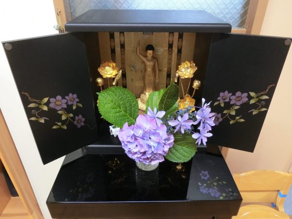 紫陽花の花　ありがとう！！