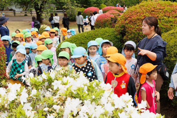 年中・年長組　園外保育『新宿御苑』４月２４日（金）