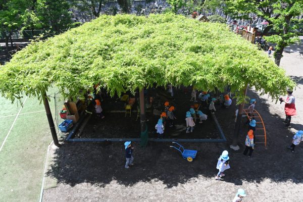 新年度スタートしました！！