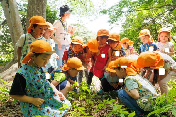 年中・年長組 園外保育『明治神宮』5月28日(金)