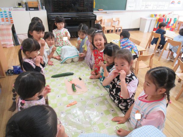 花組 きゅうりの収穫